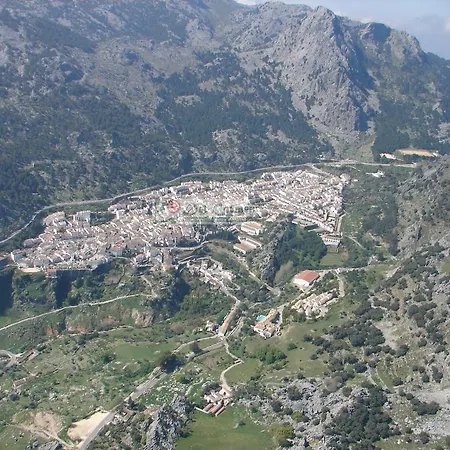 Del Carmen Prado Del Rey