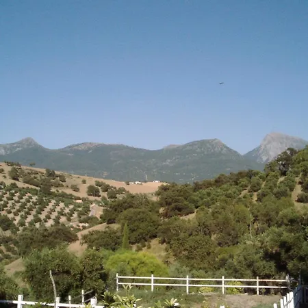 Del Carmen